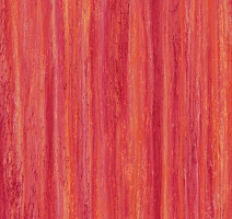 Линолеум Forbo Marmoleum Decibel on Order 524235 red roses фото 1 | FLOORDEALER